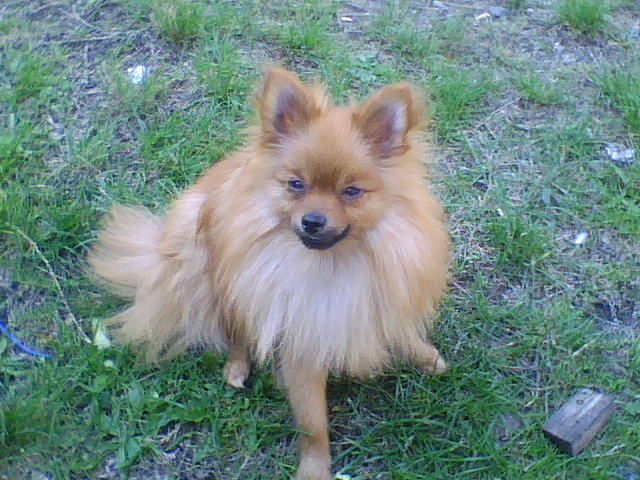 080727171024.jpg