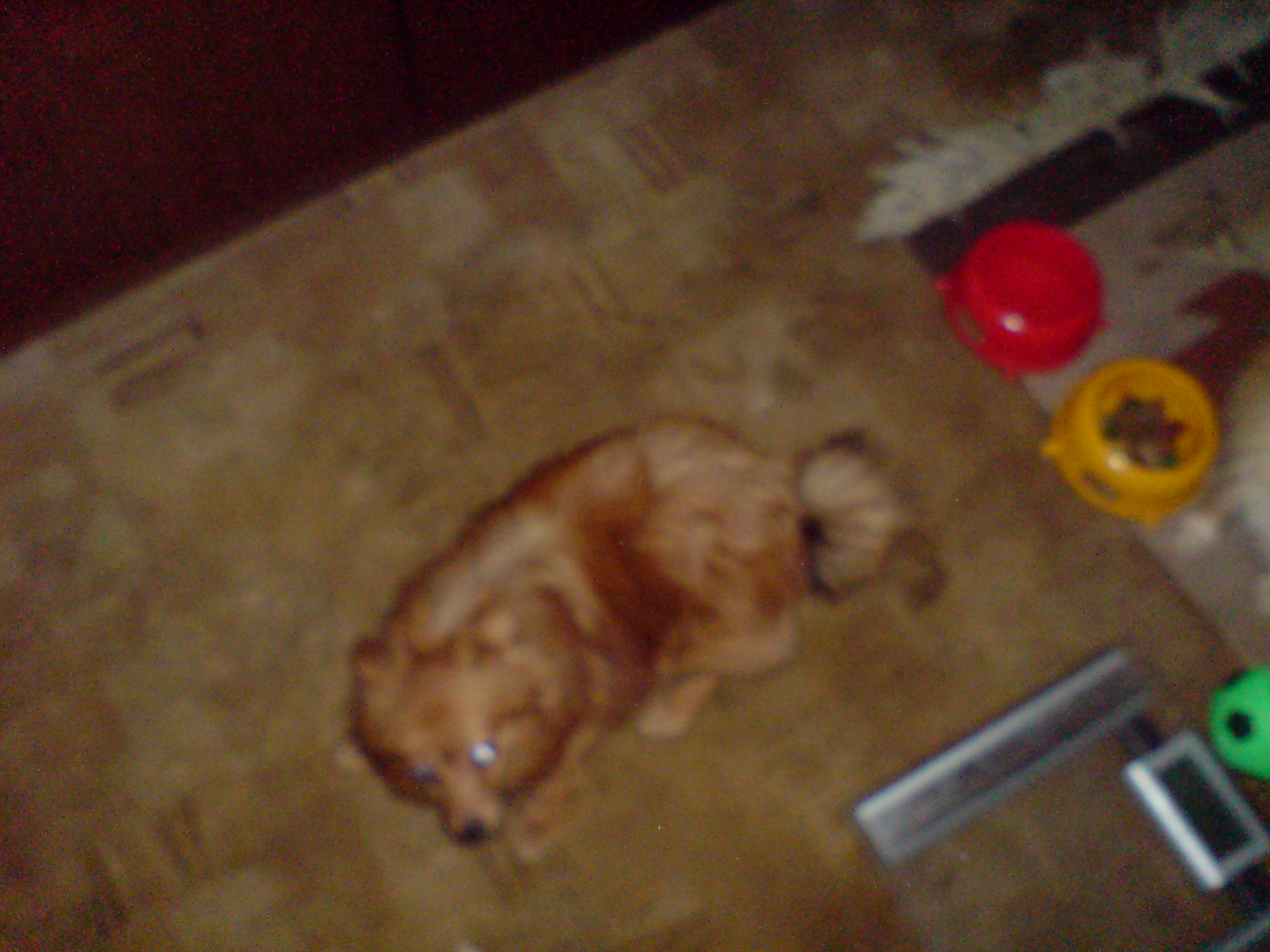 DSC00347.JPG